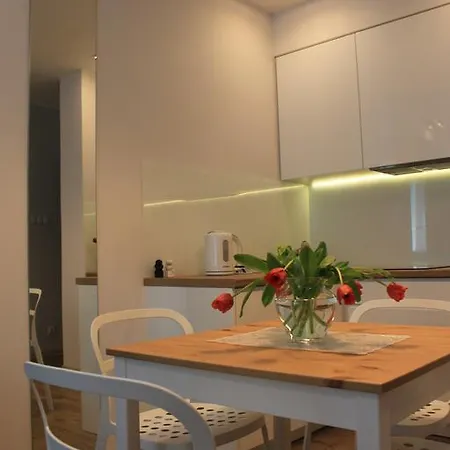 Apartament Centrum 公寓 *